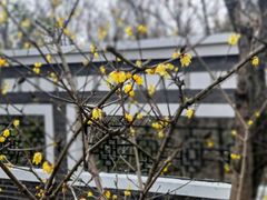 -南京市江宁方山