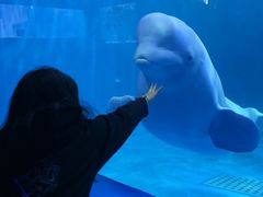 -多彩贵州城极地海洋世界