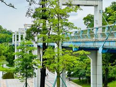-东莞植物园
