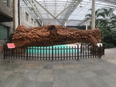 -龙达温泉生态城