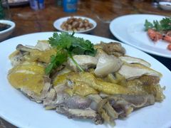 -金砂阿洲鱼册店