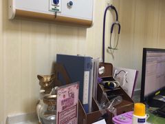 -宠爱国际动物医院· 猫科· 外科·中兽医(长白店)