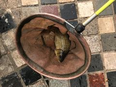 -酷鱼垂钓CLUB(朝阳区博大路店 )