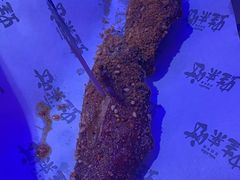 可乐鸡翅-蛙来哒(龙华壹方天地店)