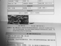 -首都医科大学附属北京同仁医院(南区)