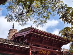 -白塔山公园