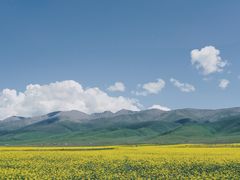 -青海湖国家重点风景名胜区