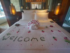 -三亚湾海居铂尔曼度假酒店