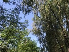 -森林公园(尖草坪区)