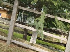 -泰生小镇旅游景区