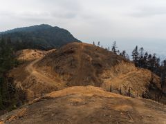 -缙云山景区