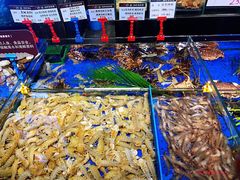 -船歌·鱼水饺青岛菜(闽江二路店)