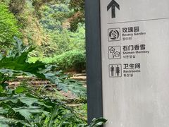 -广州市石门国家森林公园