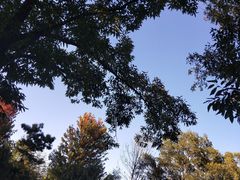 -南京枫彩漫城