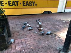 -Apple 零售店(Canton Road)