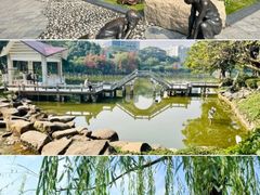 -山水茶艺馆·点心粤菜·30年老字号