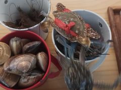 -佰园全日西餐厅-厦门佰翔软件园酒店