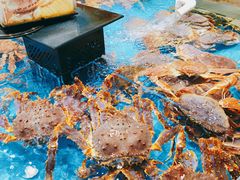 -盒马鲜生(领丰汇店)
