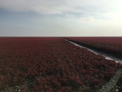 -红海滩国家风景廊道