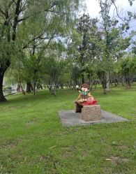 -可乐大王自然光儿童摄影(园区店)