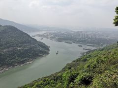 -铁山坪森林公园