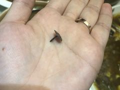 -庐州太太(南七里店)