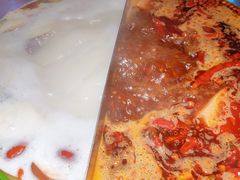 -九鼎轩脆毛肚火锅(南京东路店)
