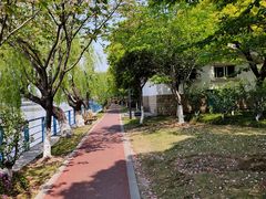 -高东镇樱花园
