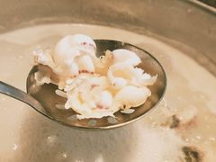 招牌鲜鱼片-淘米捞·米汤脆鲩鱼火锅(福田皇岗店)