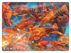 -德信恒隆国际酒店