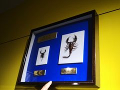 -上海昆虫博物馆