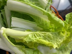 -藏味八珍特色火锅