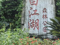 -广州白江湖森林公园