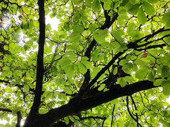 -昆明市金殿名胜区