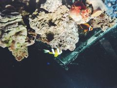 -华夏文旅海洋公园