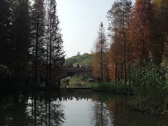 -云溪植物园