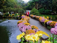 -杭州植物园