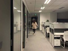 -菠萝国际教育专注Alevel·IGCSE·IB·AP·托福雅思培训辅导(静安校区)