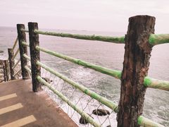 -广东惠东海龟国家级自然保护区