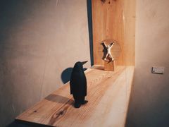 -梵几(东信·和创园店)