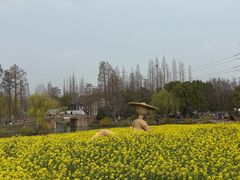 -乌村