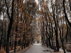 -同里国家湿地公园