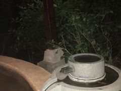-天目湖涵田半山温泉