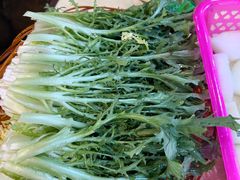 -一煲鸽