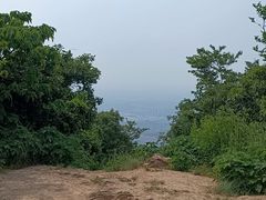 -杭州半山国家森林公园