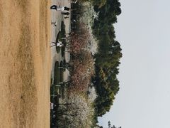 -南山植物园