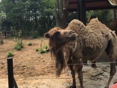 -济南野生动物世界