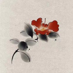 -杨卓刺青工作室·YZ STUDIO