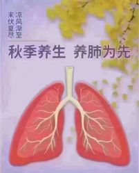 -雅曼妮spa美容养生