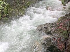 -祁门牯牛降观音堂风景区